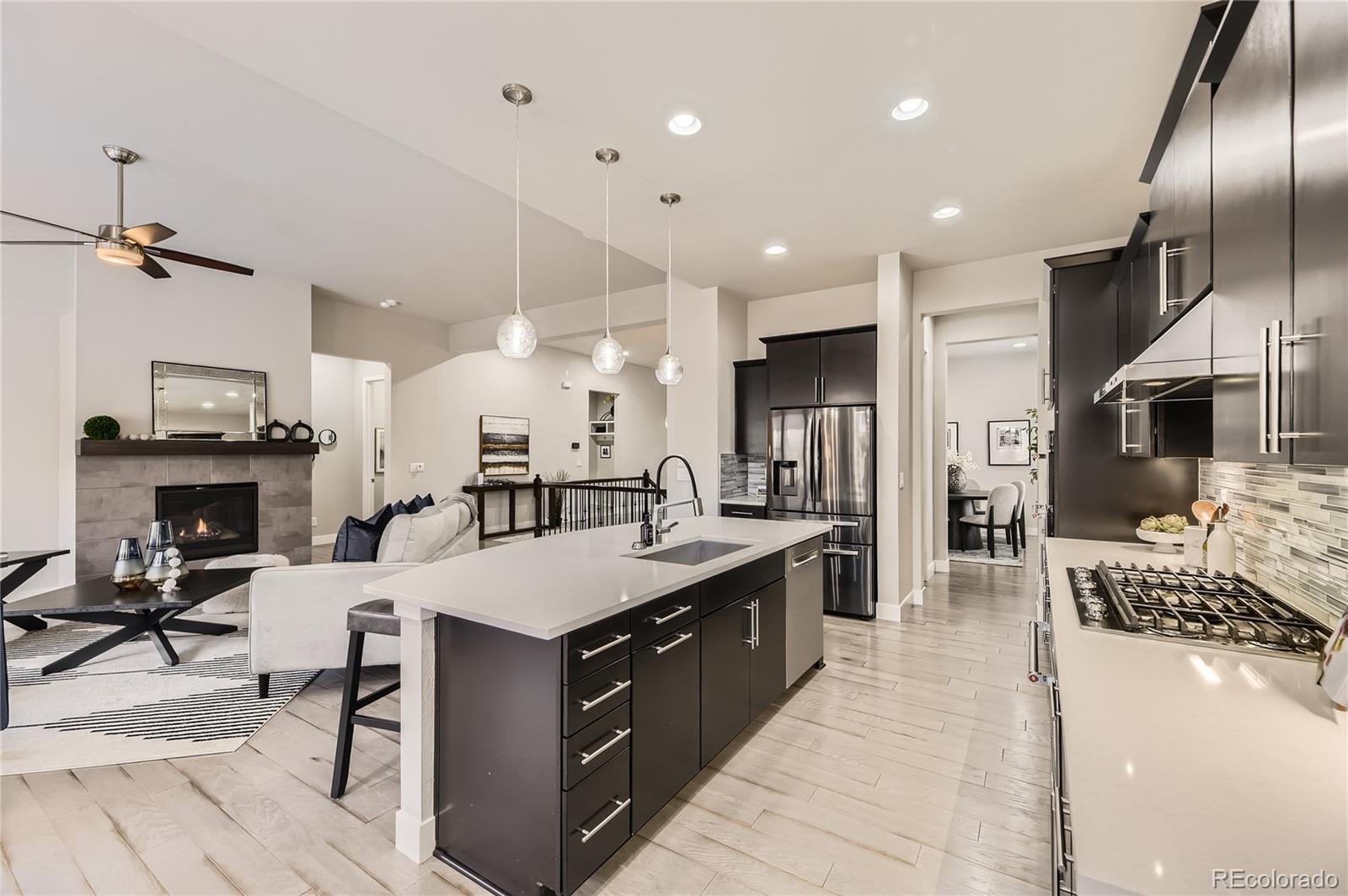 MLS Image #29 for 10137  atlanta street,parker, Colorado
