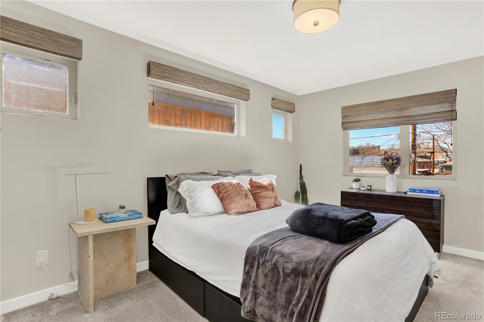 MLS Image #16 for 3711  mariposa street,denver, Colorado