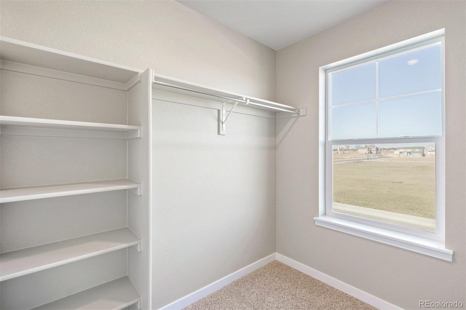 MLS Image #23 for 18029  dandy brush lane,parker, Colorado
