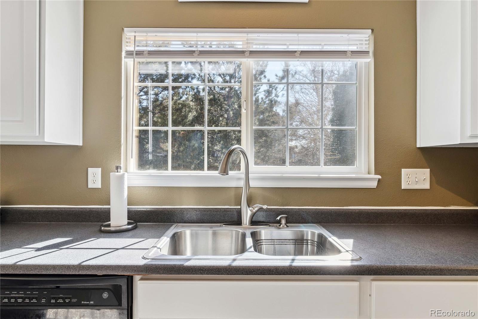 MLS Image #14 for 9378  longstone drive,parker, Colorado