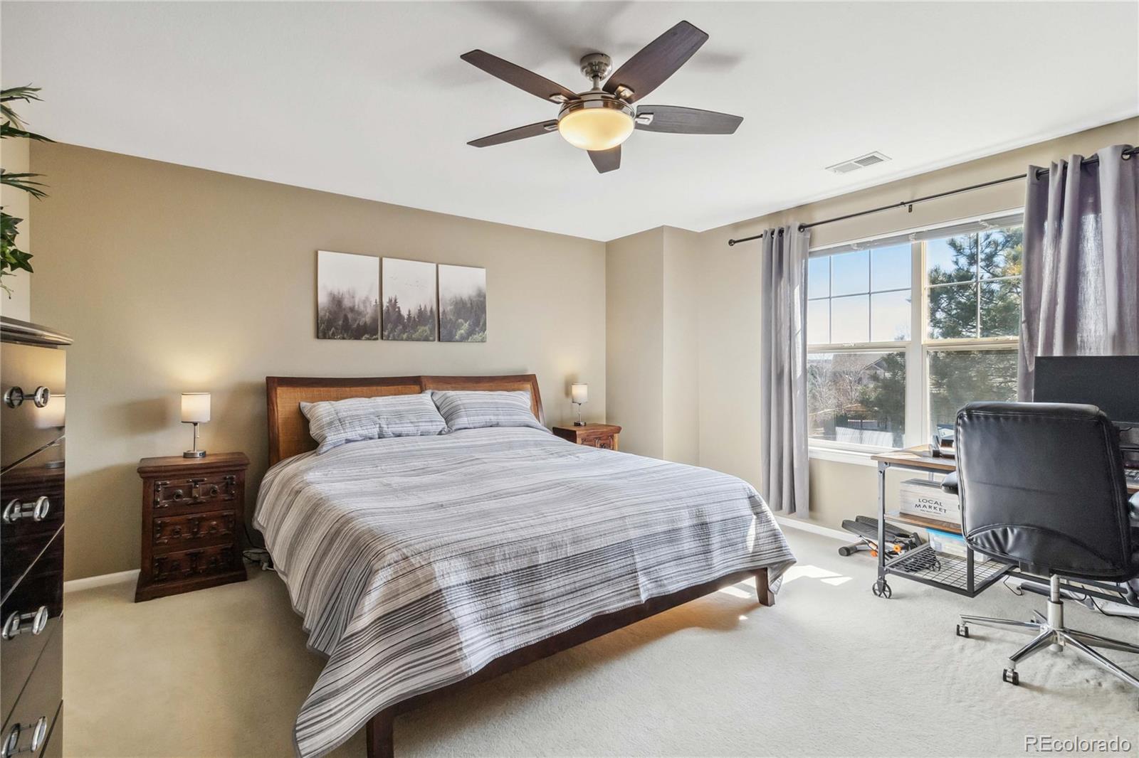 MLS Image #21 for 9378  longstone drive,parker, Colorado