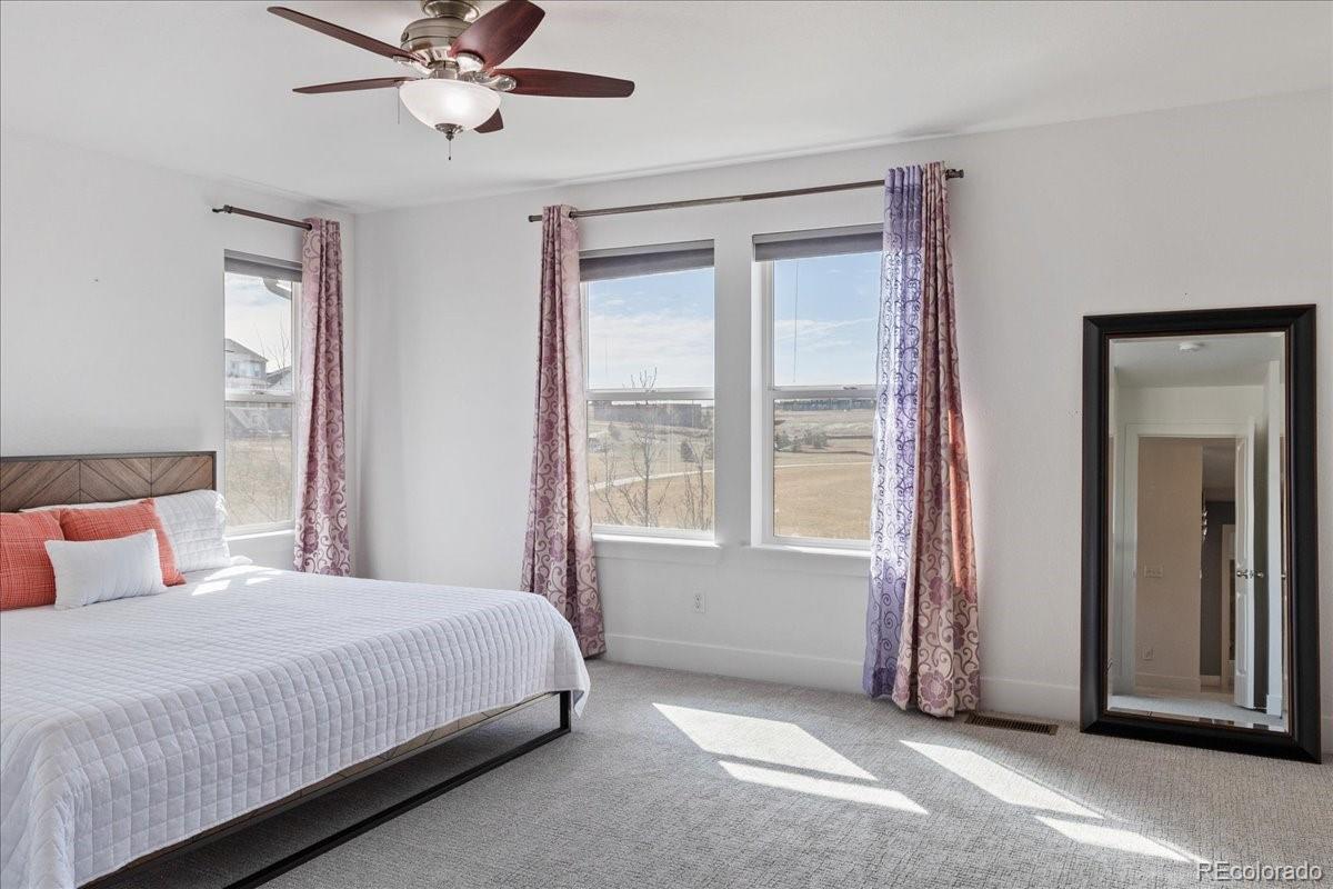 MLS Image #15 for 10627  rutledge street,parker, Colorado