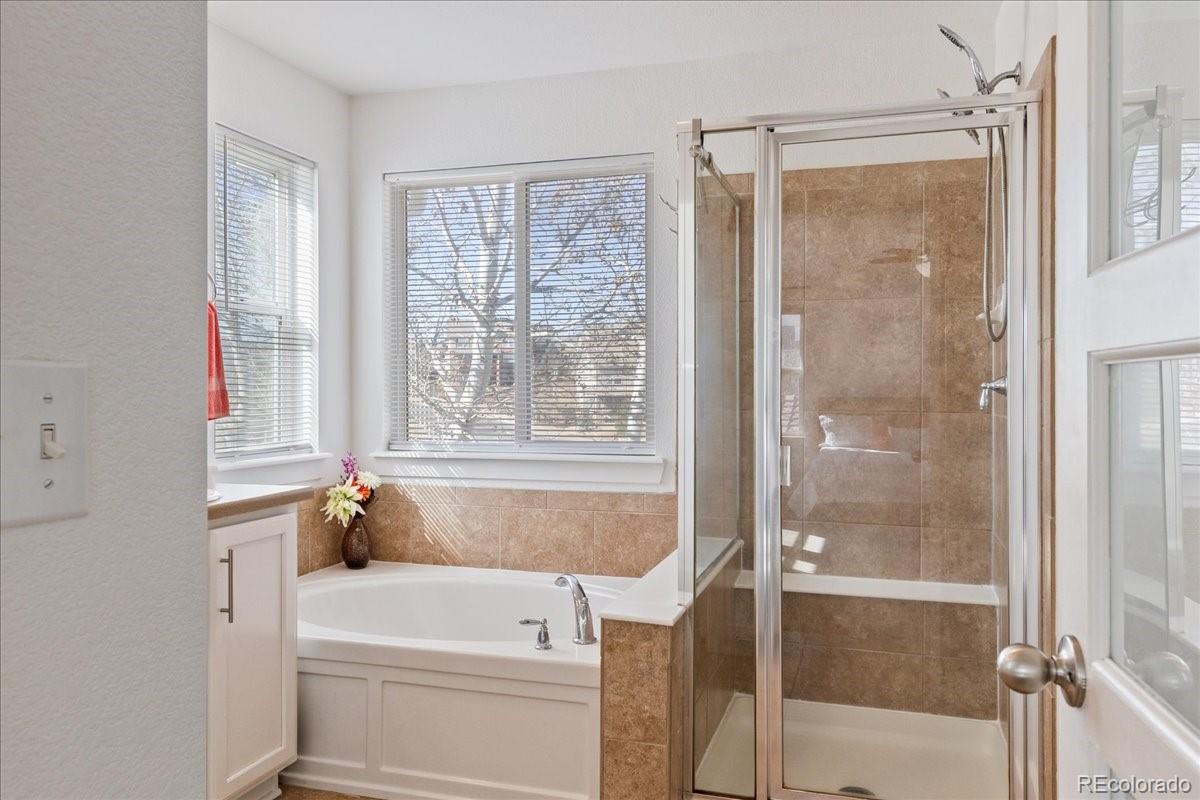 MLS Image #18 for 10627  rutledge street,parker, Colorado