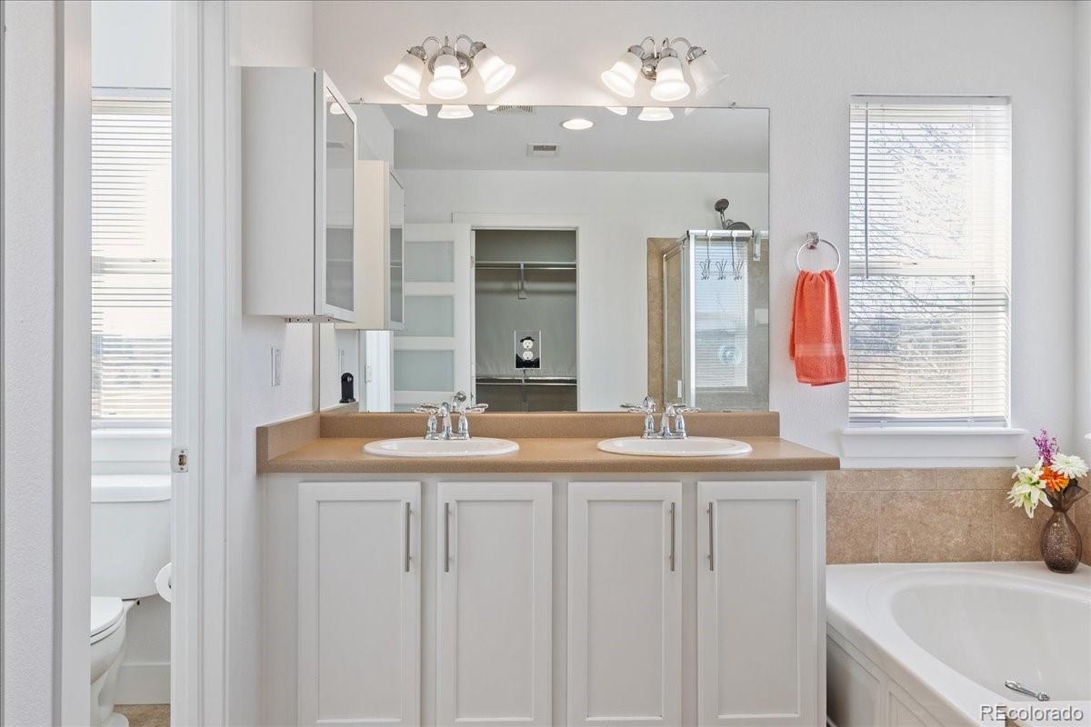 MLS Image #19 for 10627  rutledge street,parker, Colorado