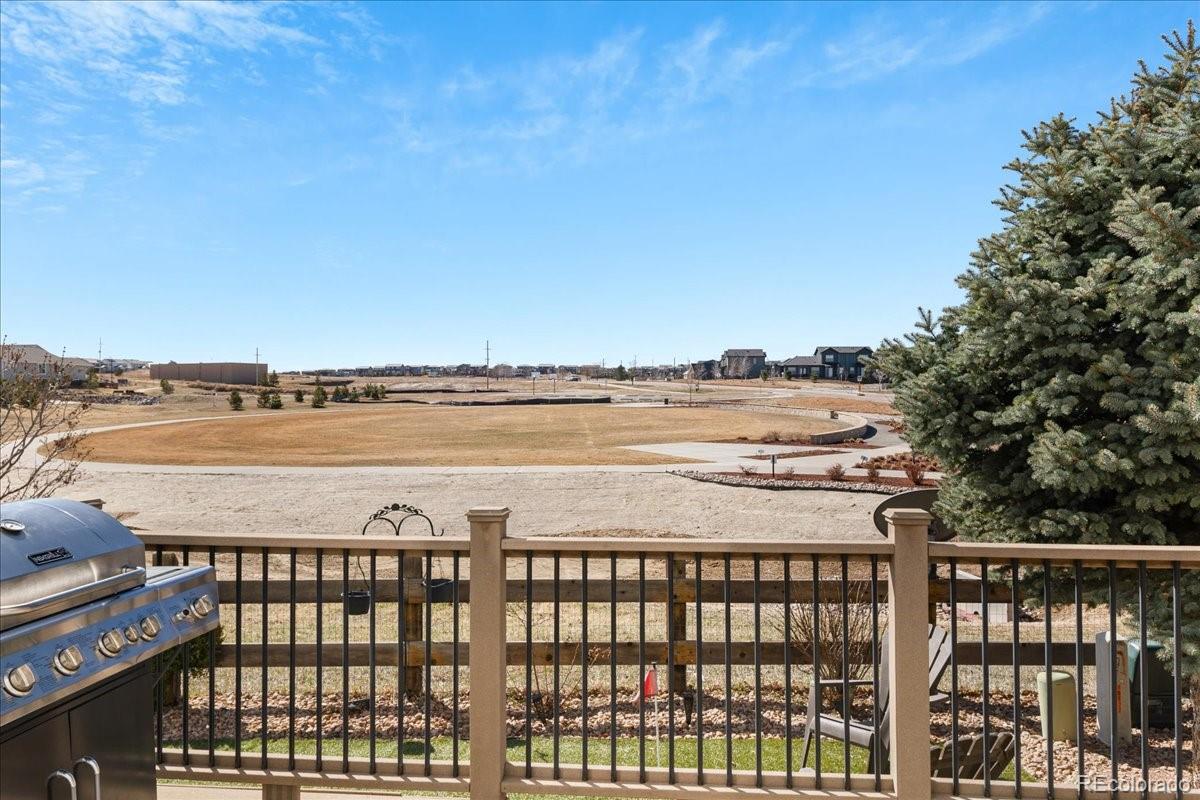 MLS Image #28 for 10627  rutledge street,parker, Colorado