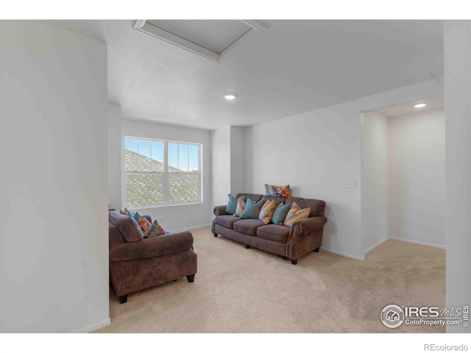 MLS Image #11 for 1807  hydrangea drive,windsor, Colorado