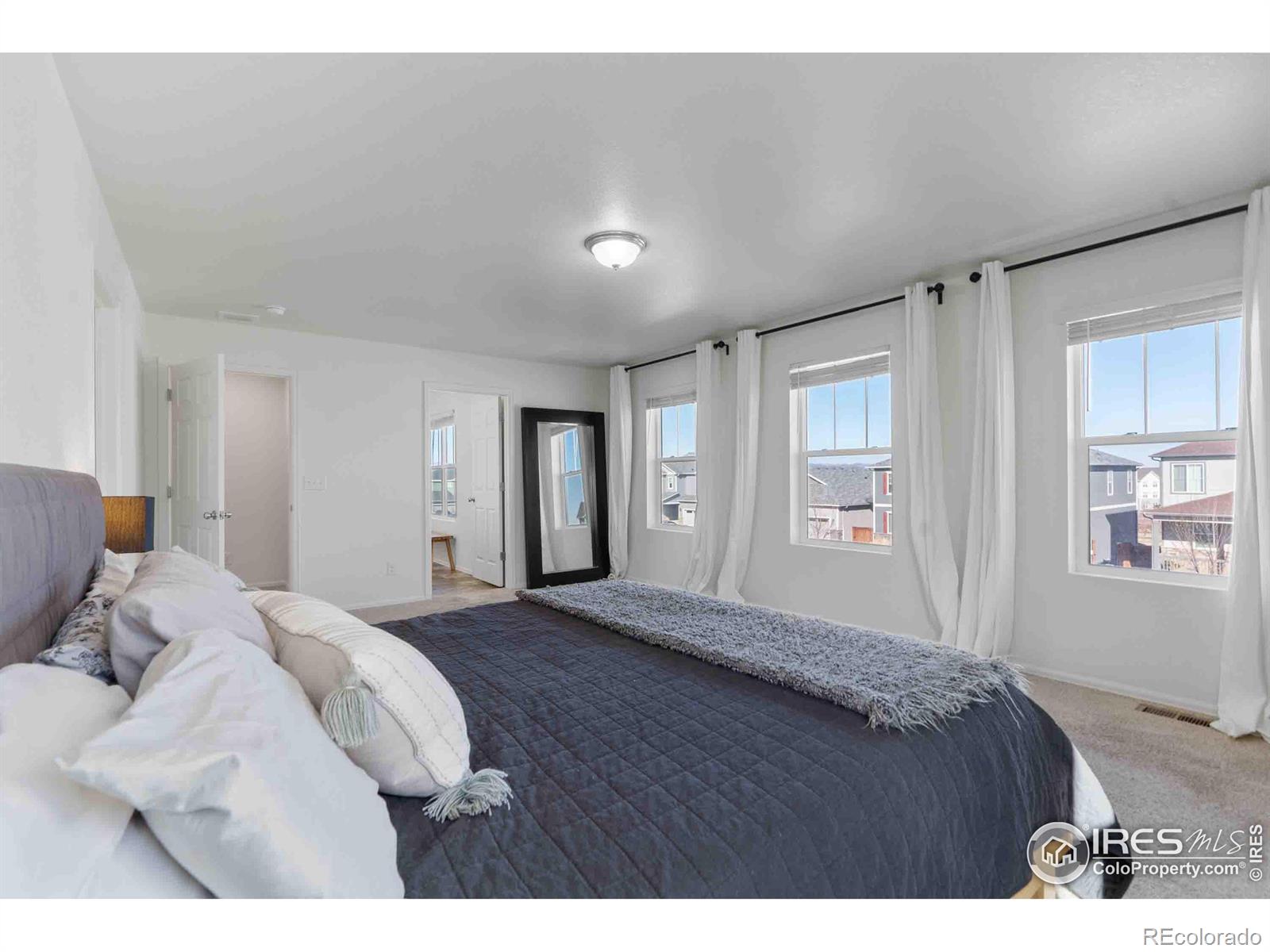 MLS Image #14 for 1807  hydrangea drive,windsor, Colorado