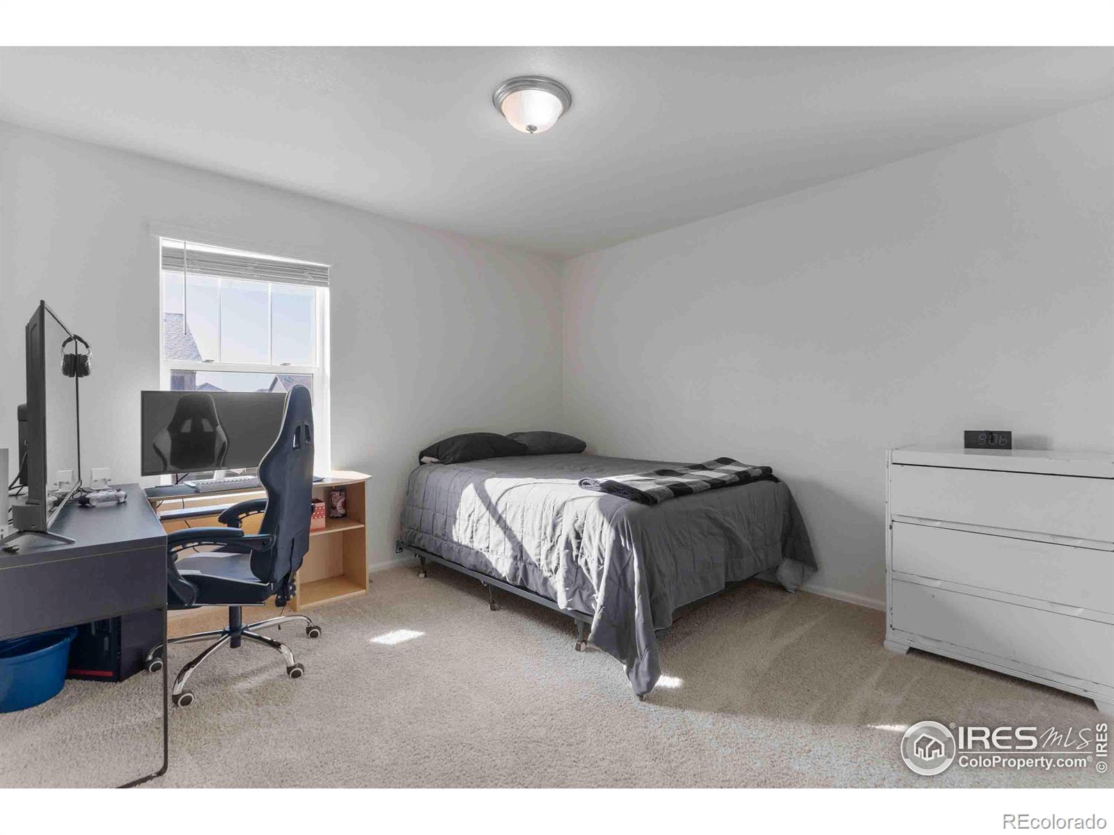 MLS Image #17 for 1807  hydrangea drive,windsor, Colorado