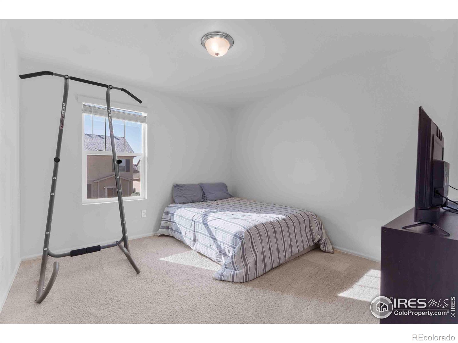 MLS Image #19 for 1807  hydrangea drive,windsor, Colorado
