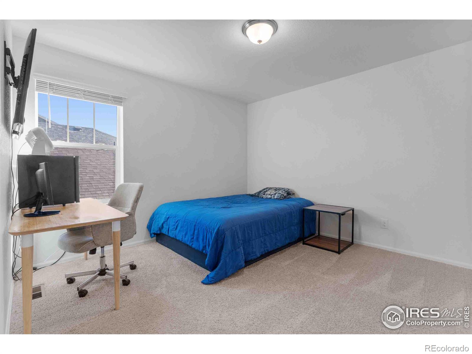 MLS Image #20 for 1807  hydrangea drive,windsor, Colorado