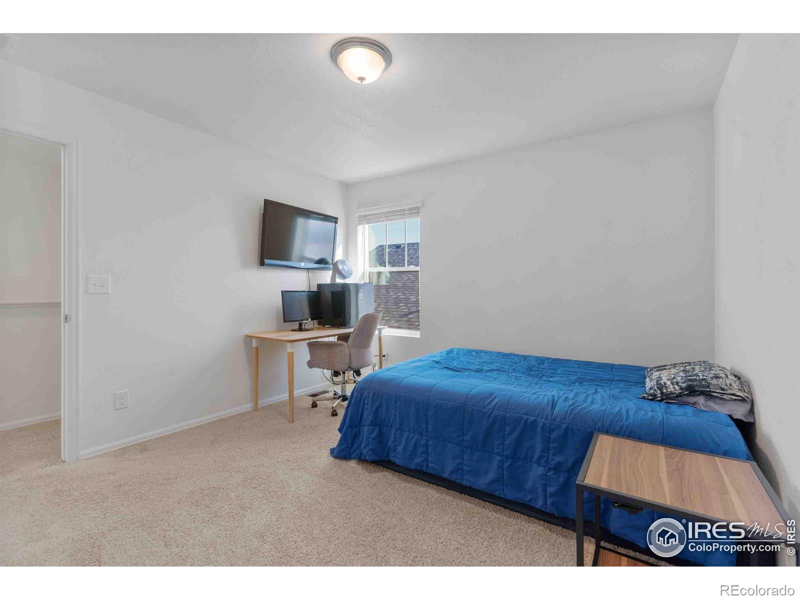 MLS Image #21 for 1807  hydrangea drive,windsor, Colorado