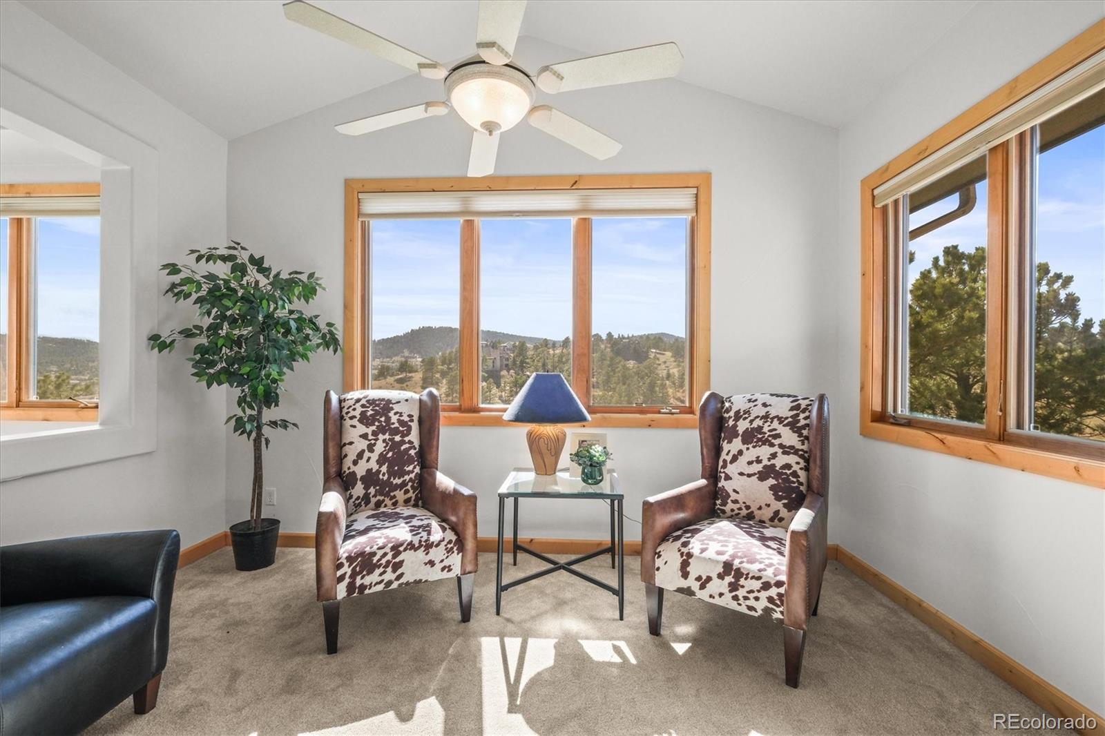 MLS Image #10 for 156 s lookout mountain road,golden, Colorado