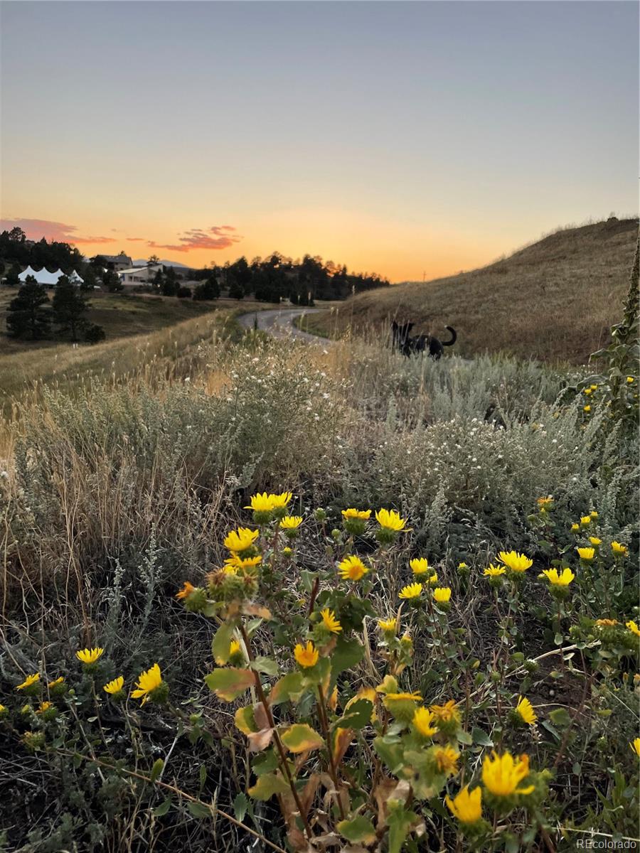 MLS Image #46 for 156 s lookout mountain road,golden, Colorado