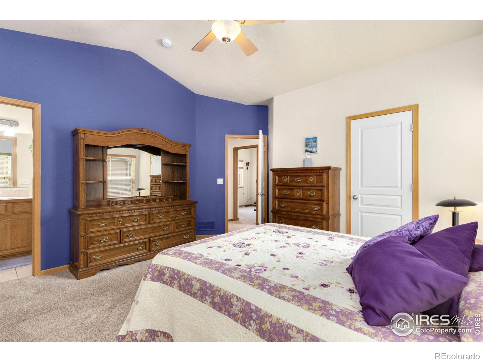MLS Image #17 for 175  redcloud avenue,berthoud, Colorado