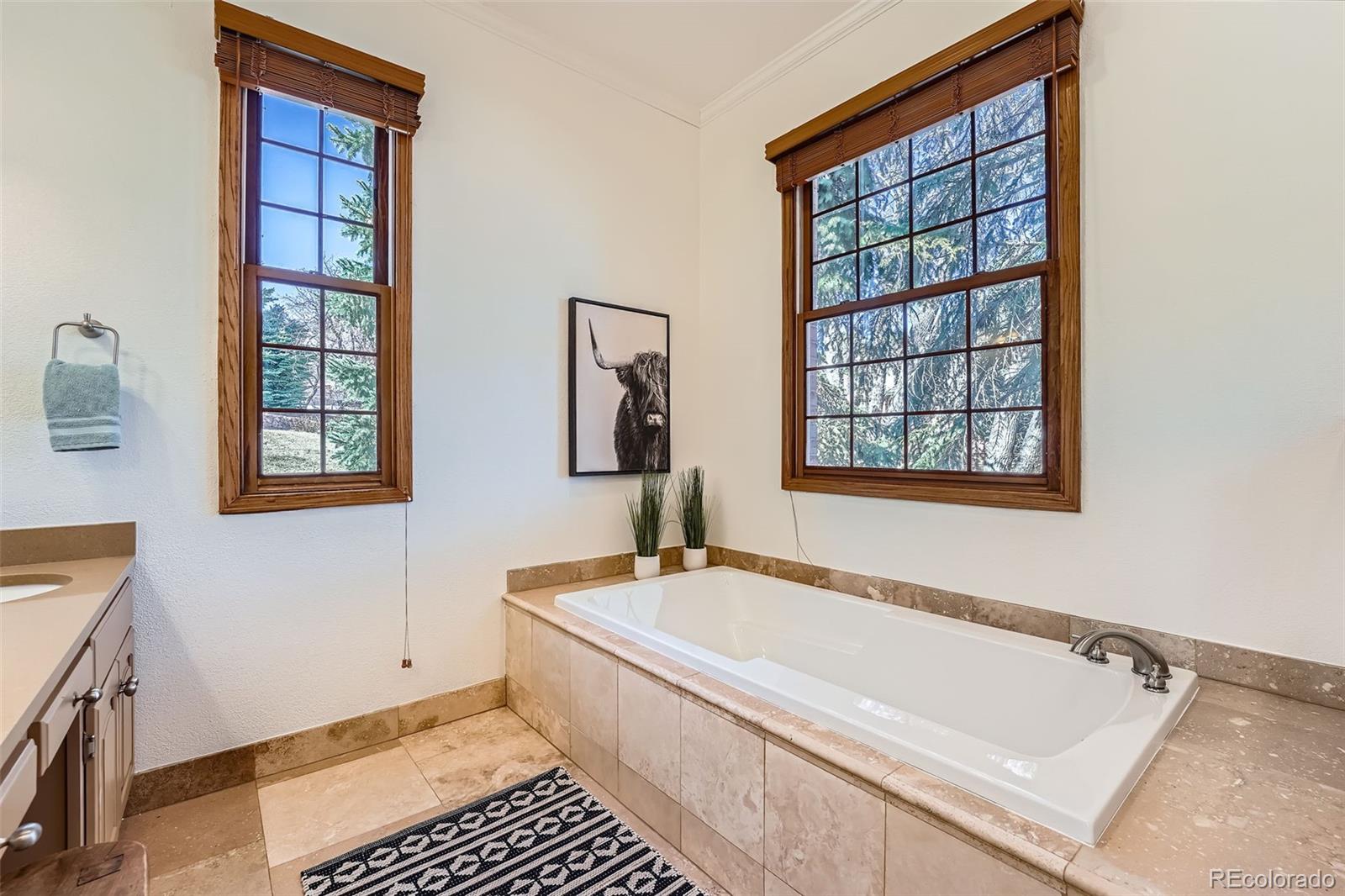 MLS Image #21 for 19  red fox lane,littleton, Colorado