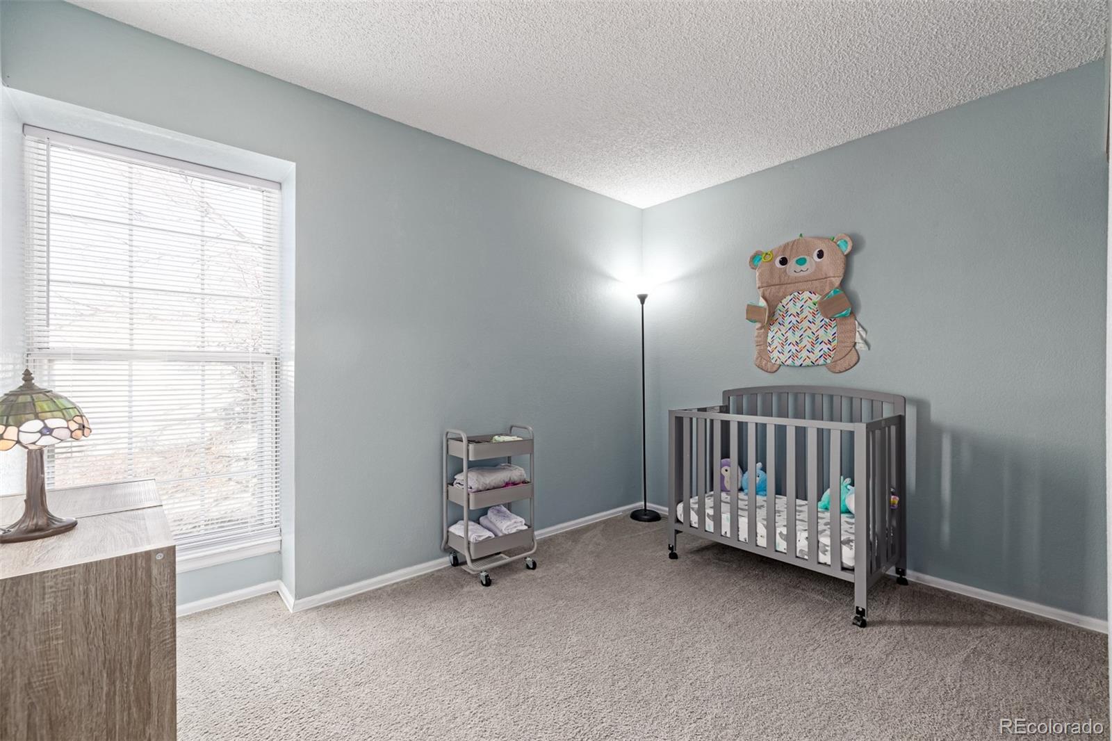 MLS Image #24 for 10842 w 100th drive,westminster, Colorado