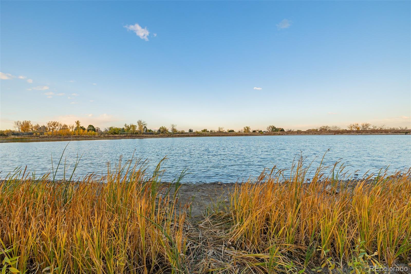 MLS Image #40 for 10842 w 100th drive,westminster, Colorado