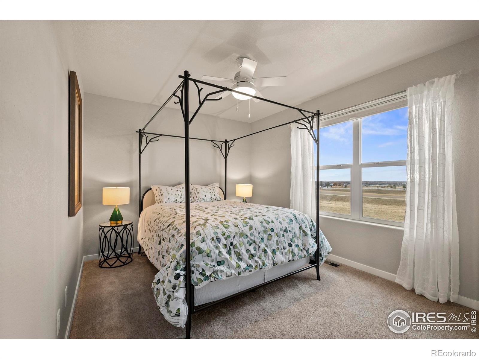 MLS Image #27 for 2100  cadman street,berthoud, Colorado