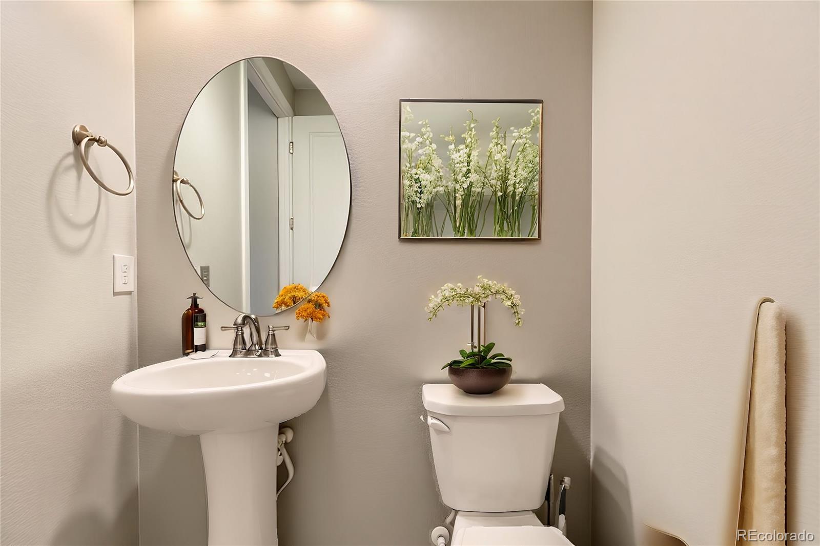 MLS Image #17 for 2616  loon circle,castle rock, Colorado