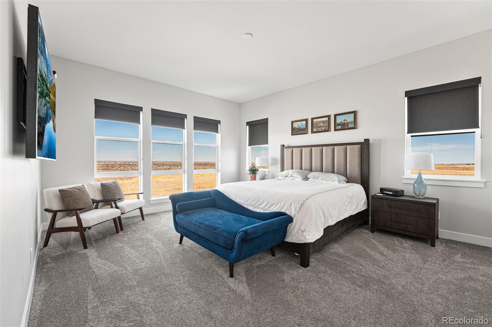 MLS Image #16 for 1609  flourish court,windsor, Colorado