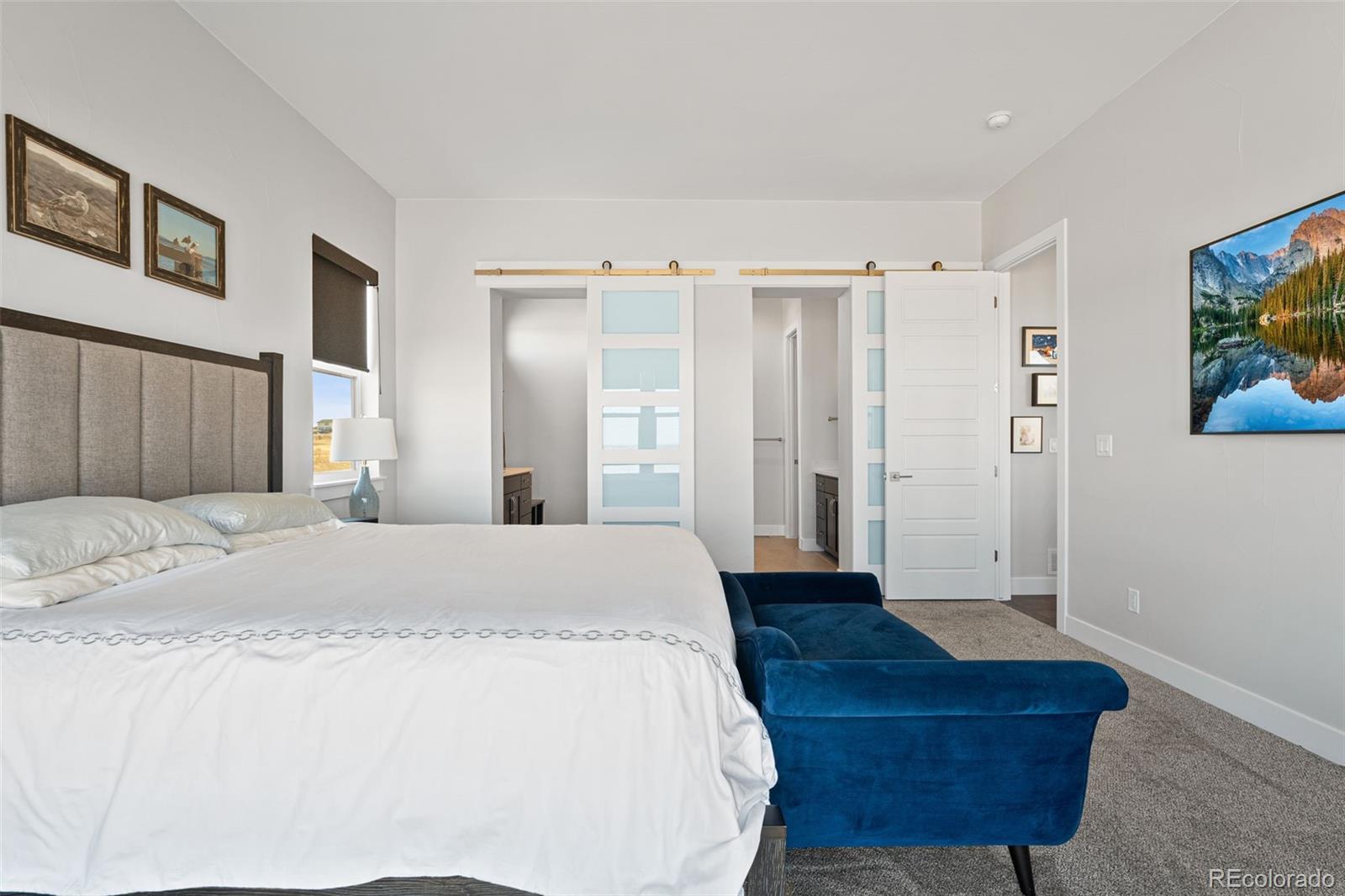 MLS Image #17 for 1609  flourish court,windsor, Colorado