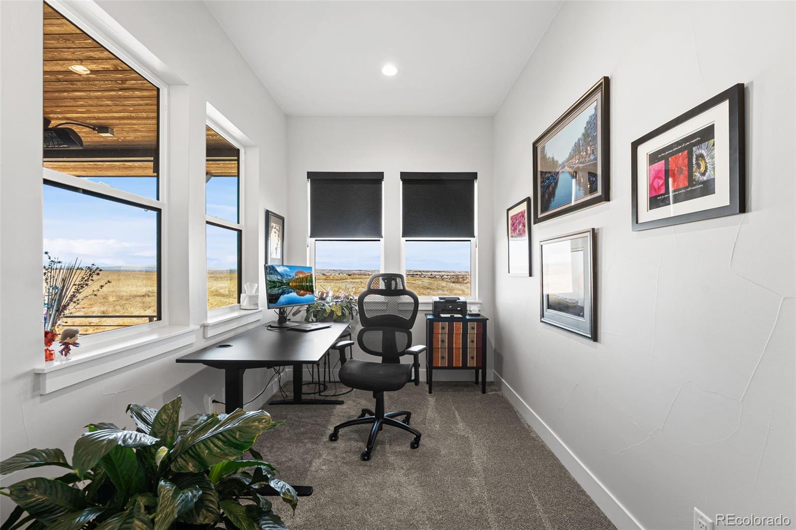 MLS Image #22 for 1609  flourish court,windsor, Colorado