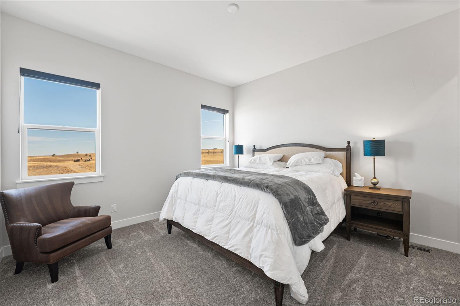 MLS Image #24 for 1609  flourish court,windsor, Colorado