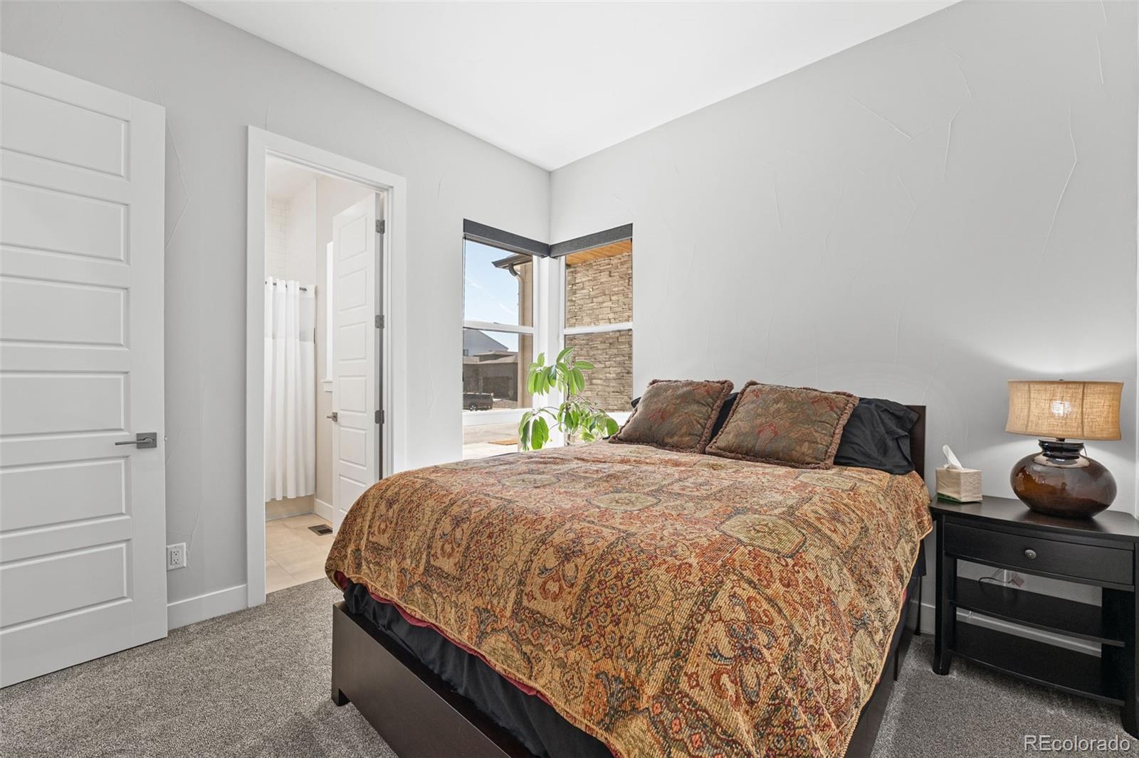 MLS Image #25 for 1609  flourish court,windsor, Colorado