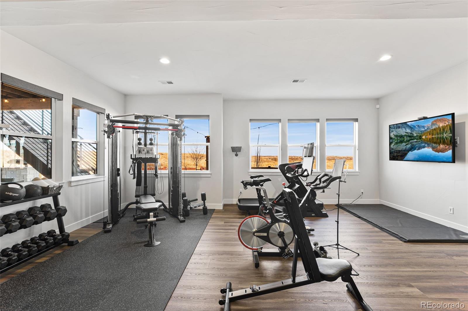 MLS Image #32 for 1609  flourish court,windsor, Colorado
