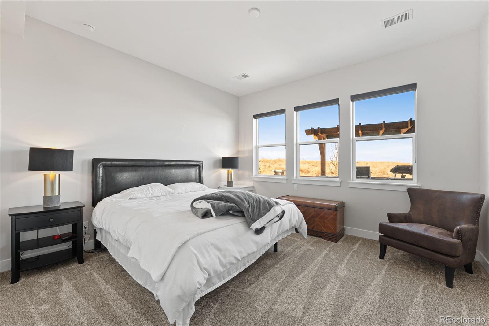MLS Image #34 for 1609  flourish court,windsor, Colorado