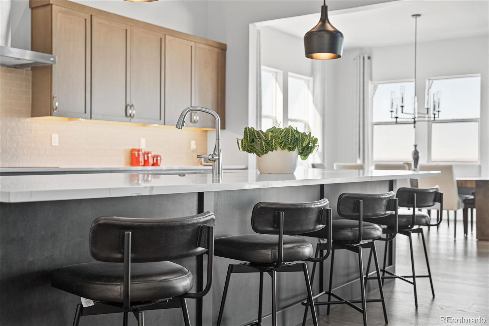 MLS Image #7 for 1609  flourish court,windsor, Colorado