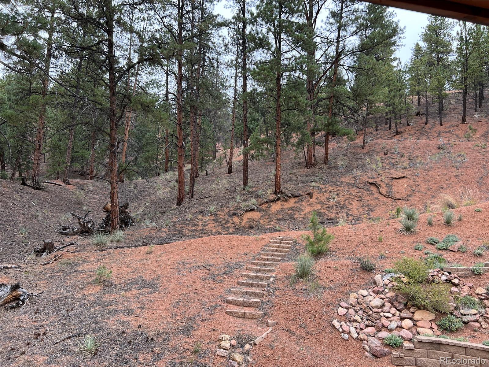MLS Image #31 for 9705  canon drive,sedalia, Colorado