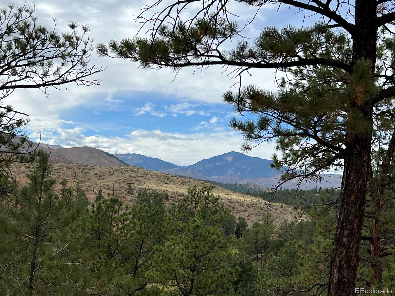 MLS Image #42 for 9705  canon drive,sedalia, Colorado
