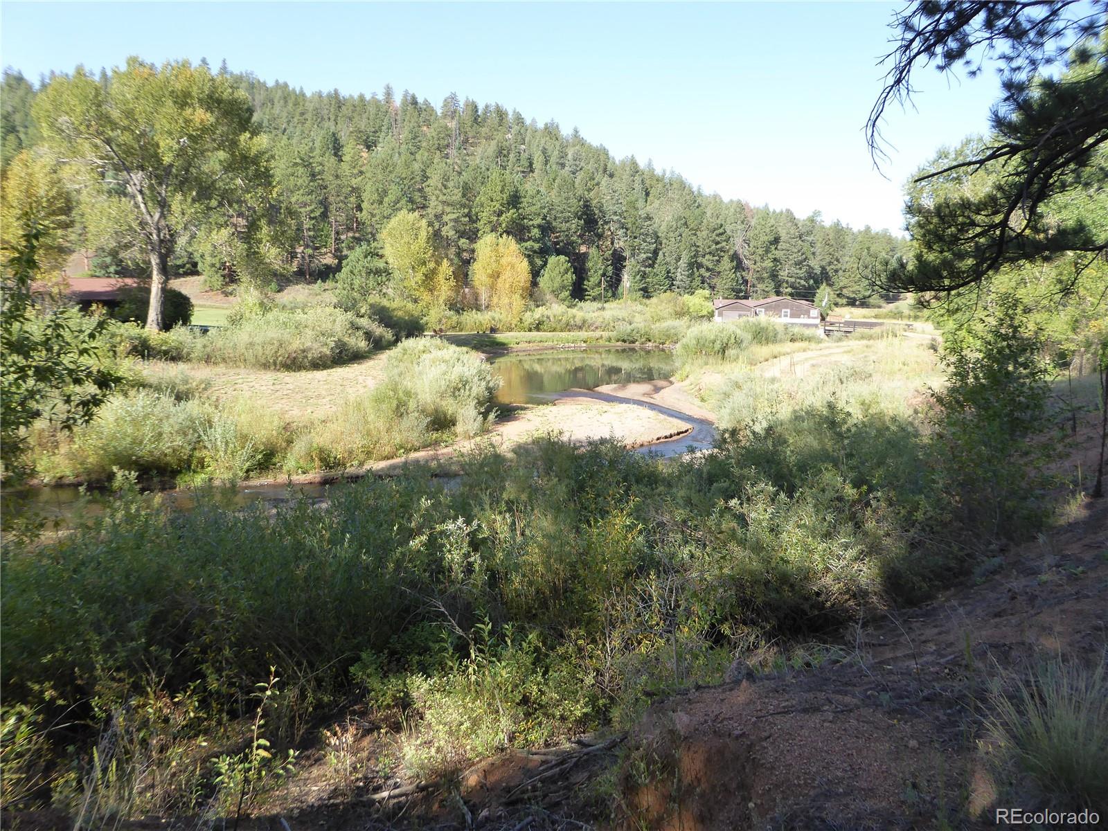 MLS Image #49 for 9705  canon drive,sedalia, Colorado