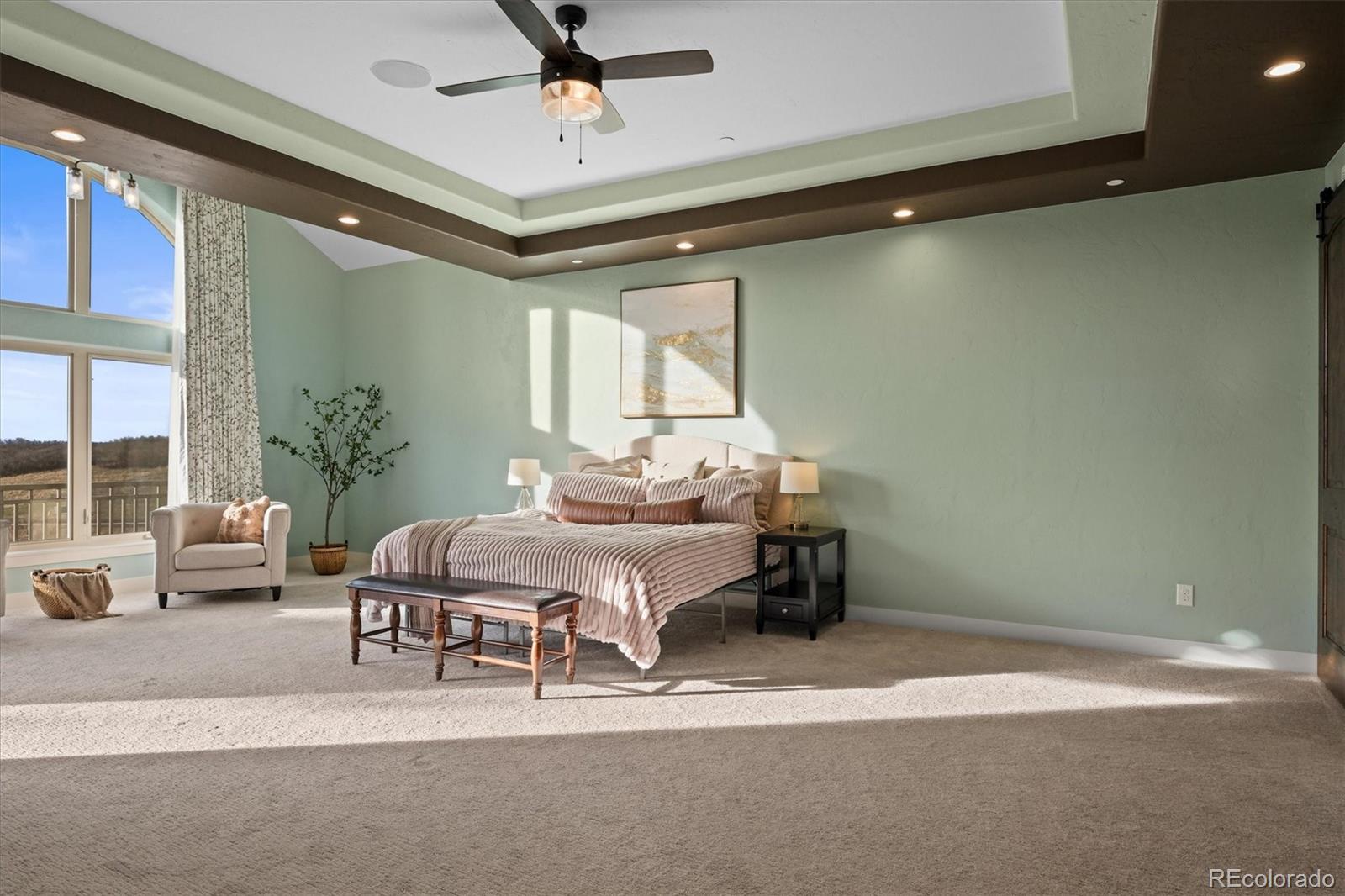 MLS Image #19 for 4749  starfire circle,castle rock, Colorado