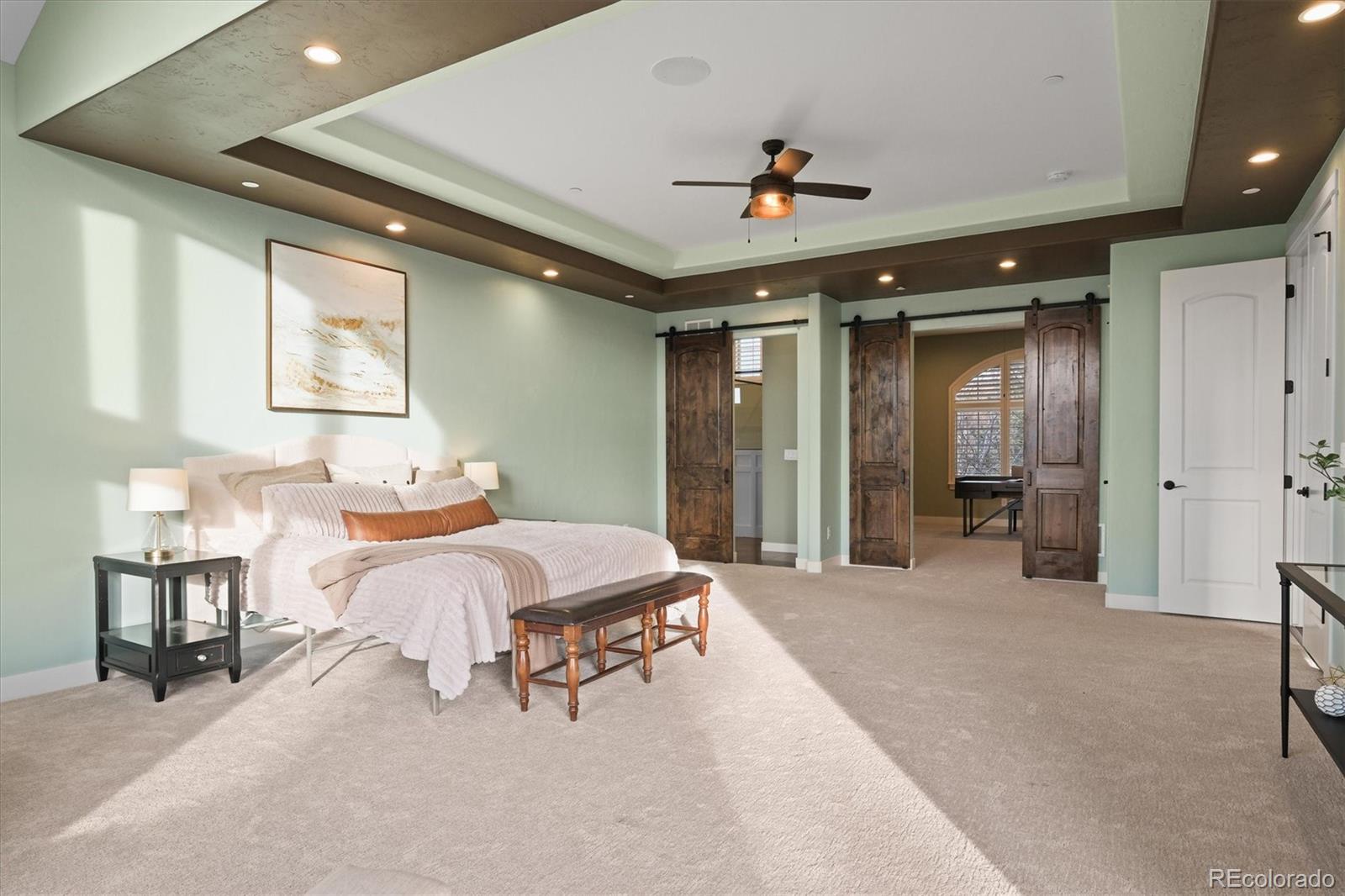 MLS Image #20 for 4749  starfire circle,castle rock, Colorado