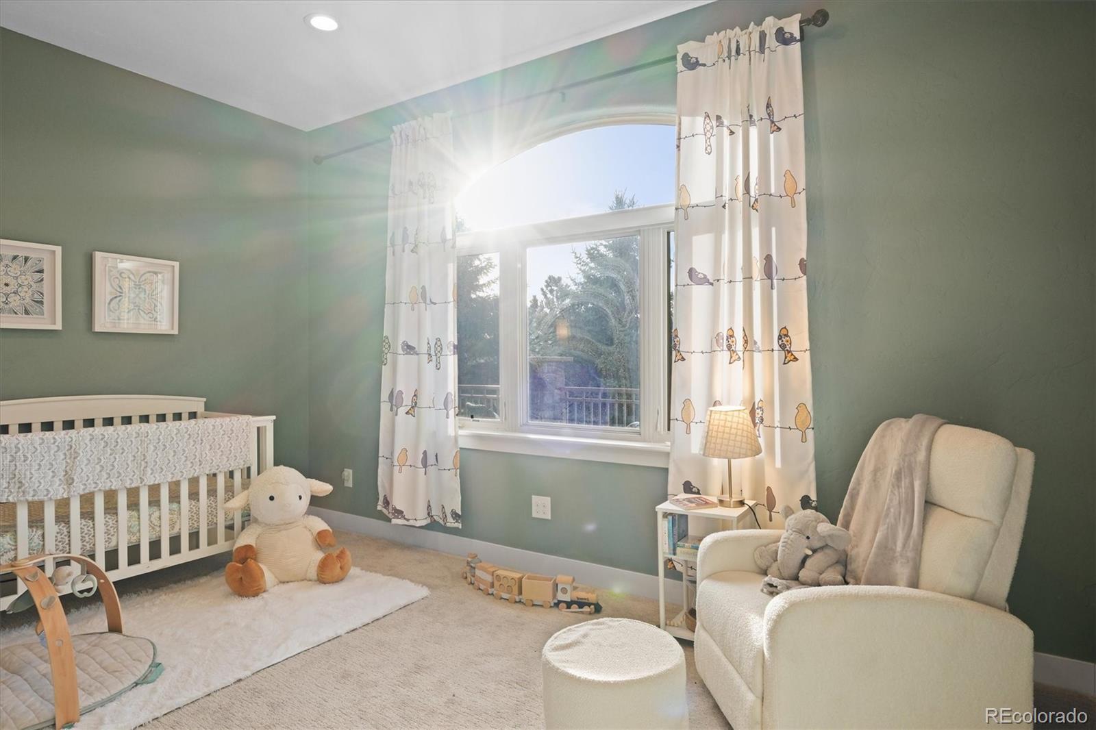 MLS Image #25 for 4749  starfire circle,castle rock, Colorado