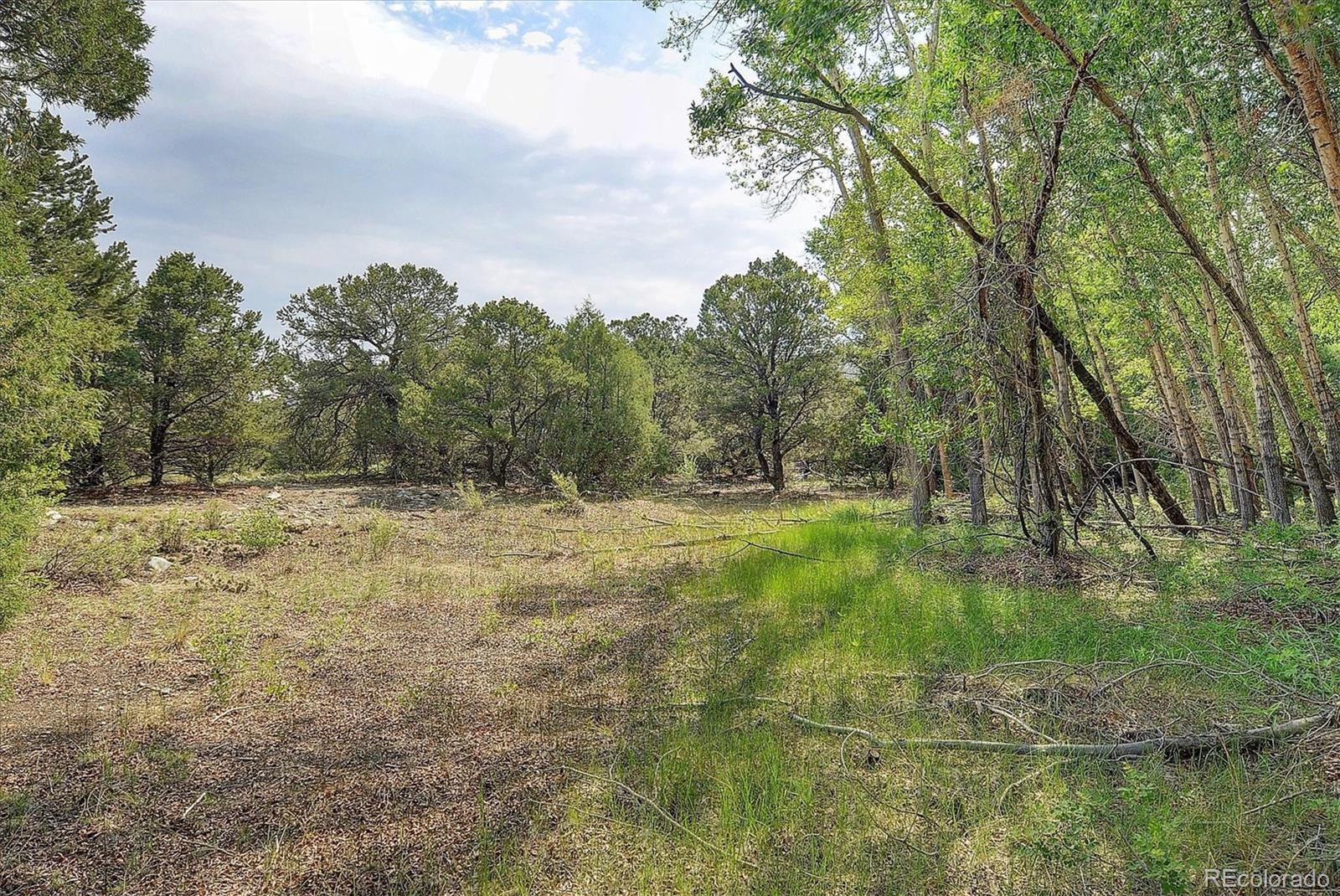 MLS Image #5 for 112  cedar ridge road,mosca, Colorado