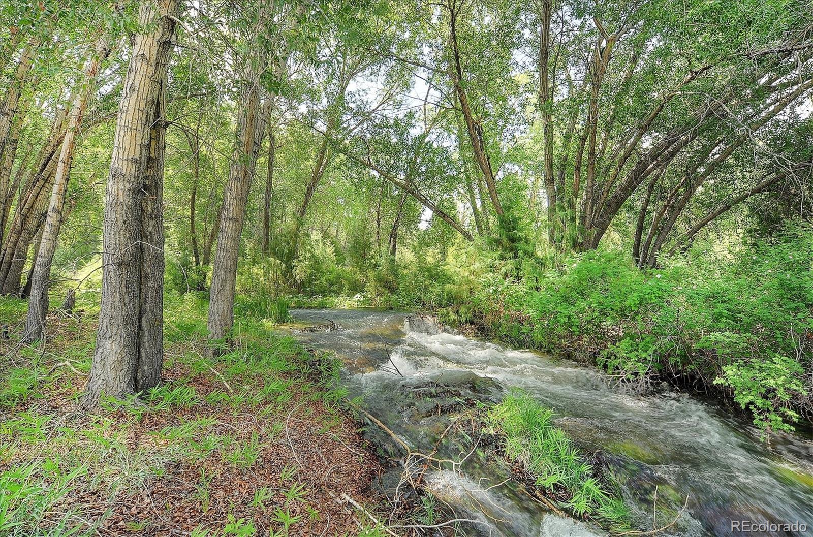 MLS Image #6 for 112  cedar ridge road,mosca, Colorado
