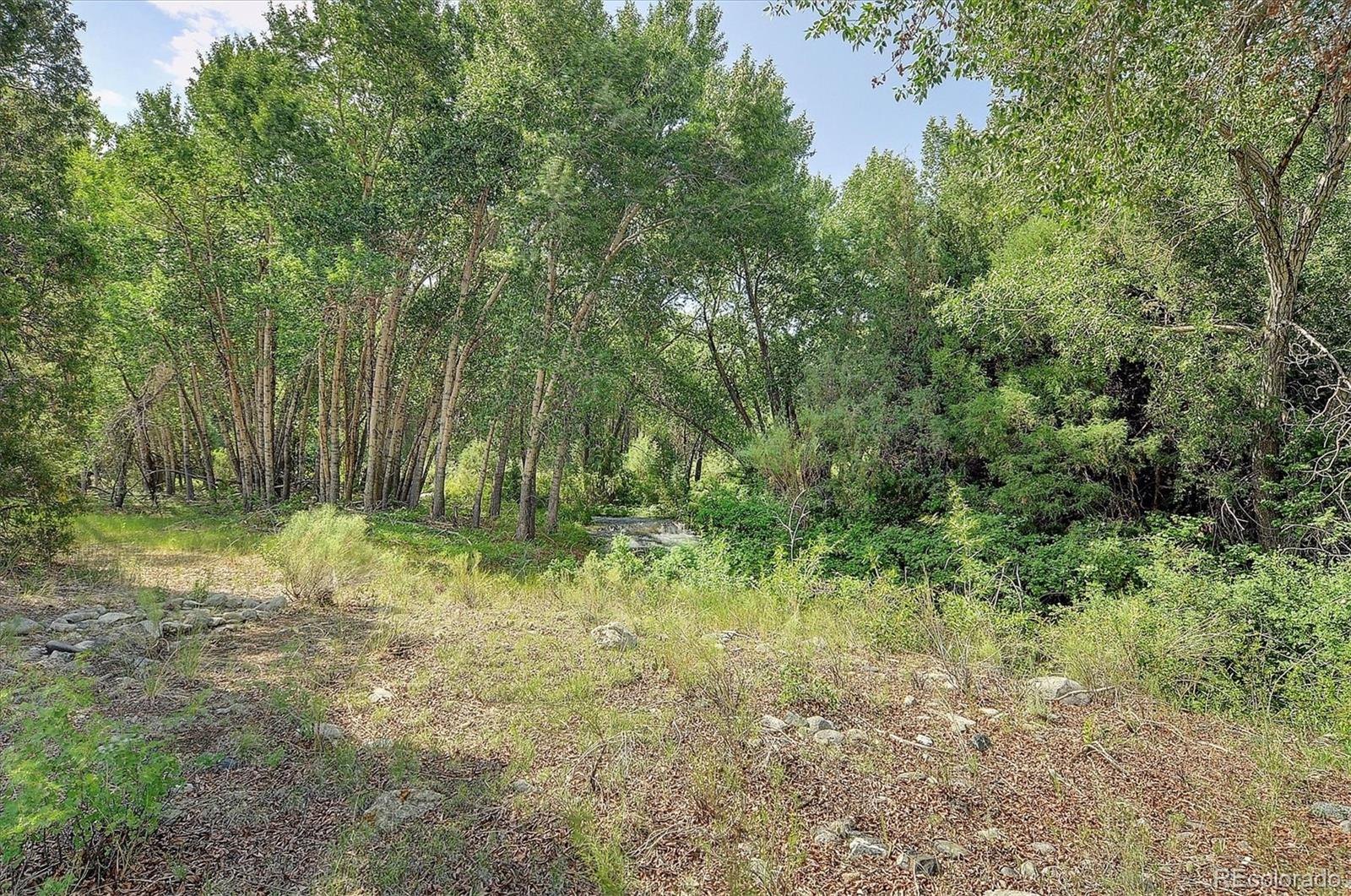 MLS Image #7 for 112  cedar ridge road,mosca, Colorado