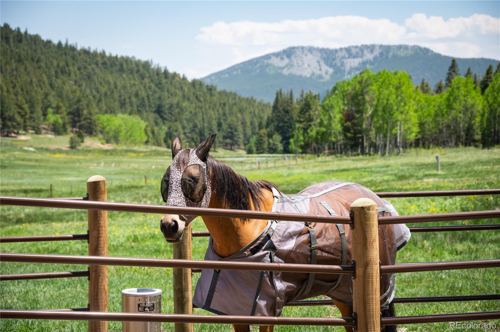 MLS Image #2 for 11652  camp eden road,golden, Colorado