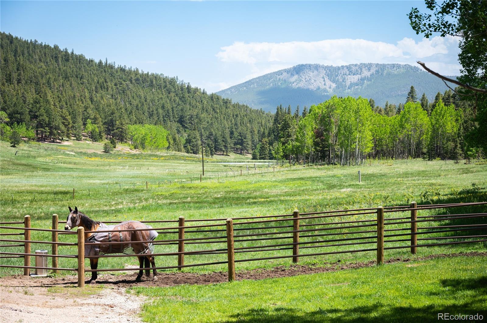 MLS Image #34 for 11652  camp eden road,golden, Colorado