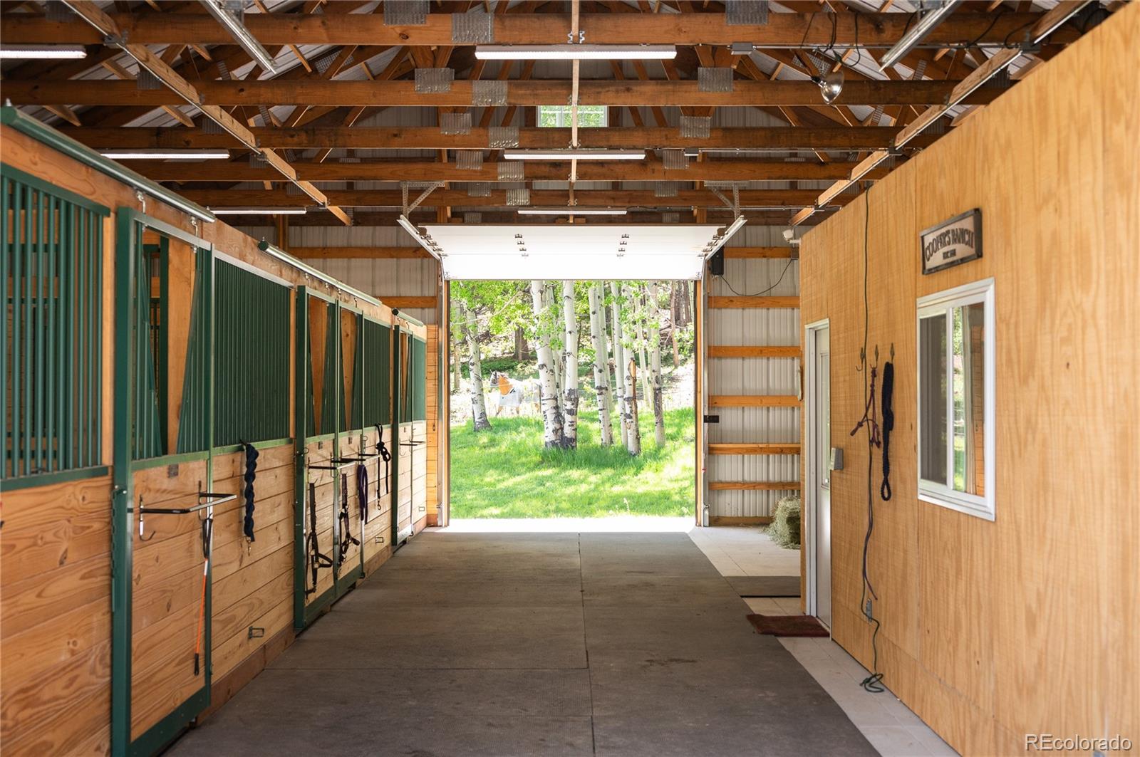 MLS Image #35 for 11652  camp eden road,golden, Colorado