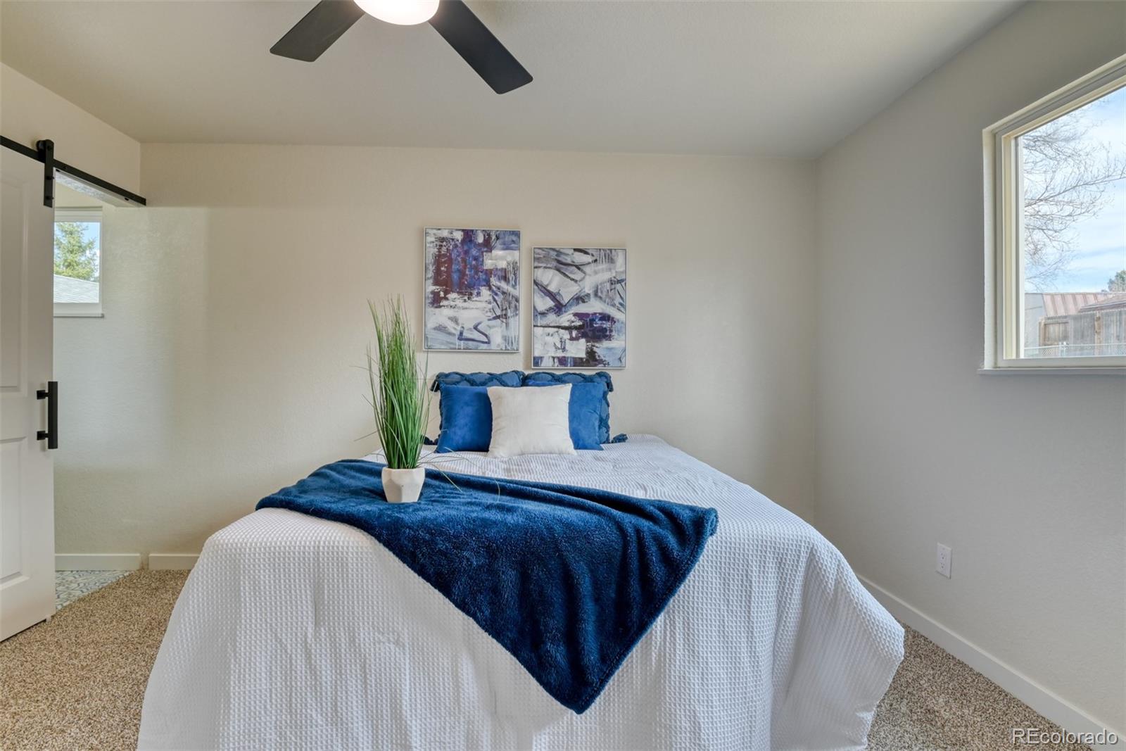 MLS Image #17 for 7171  metropolitan street,colorado springs, Colorado
