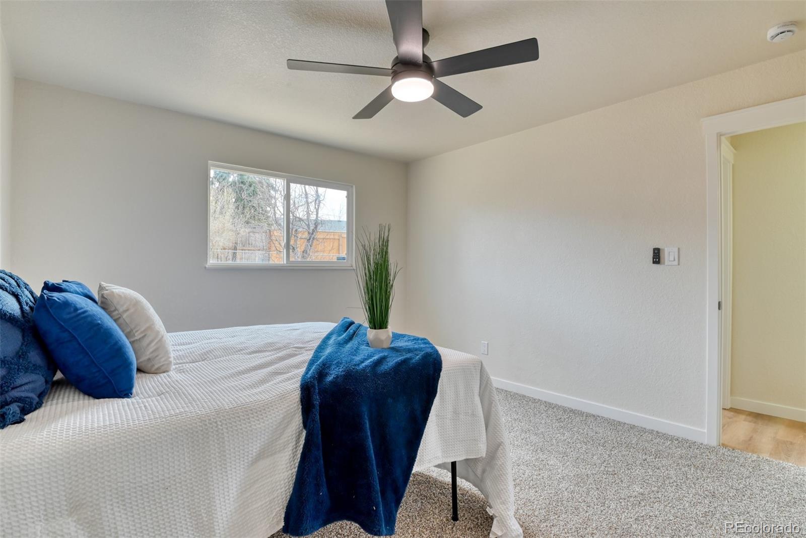 MLS Image #18 for 7171  metropolitan street,colorado springs, Colorado