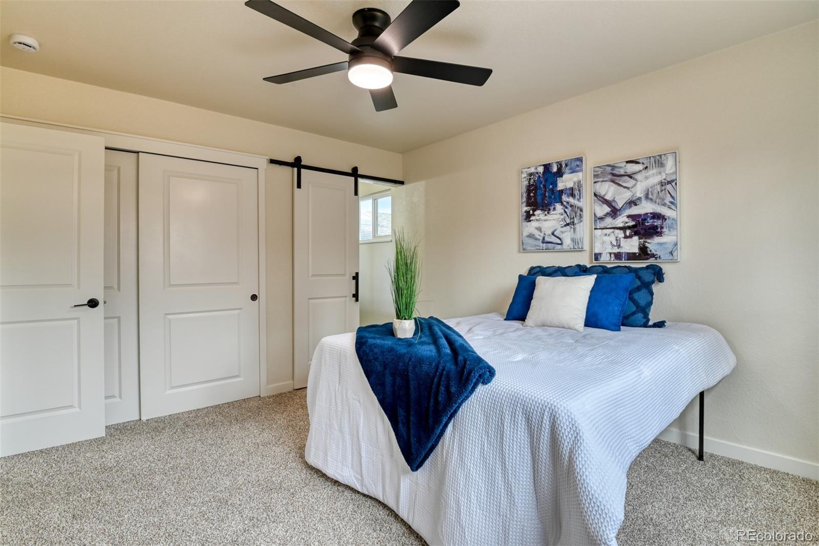 MLS Image #19 for 7171  metropolitan street,colorado springs, Colorado