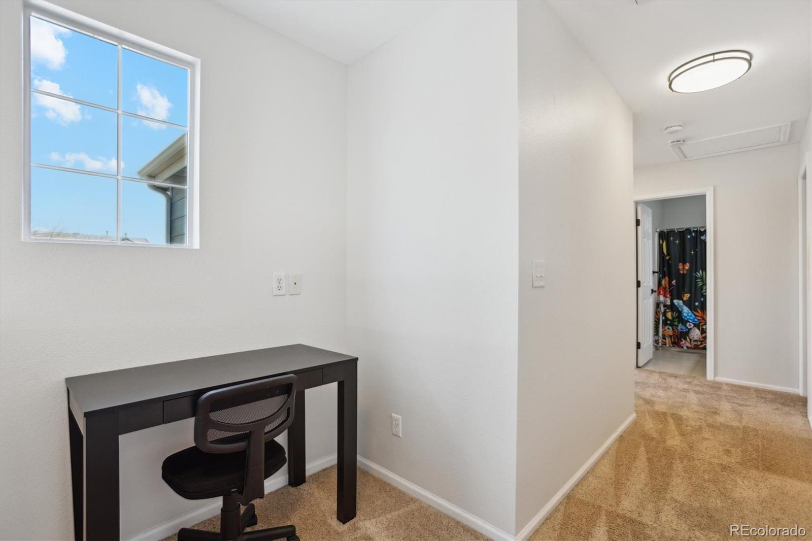 MLS Image #9 for 7453 s norfolk street,aurora, Colorado
