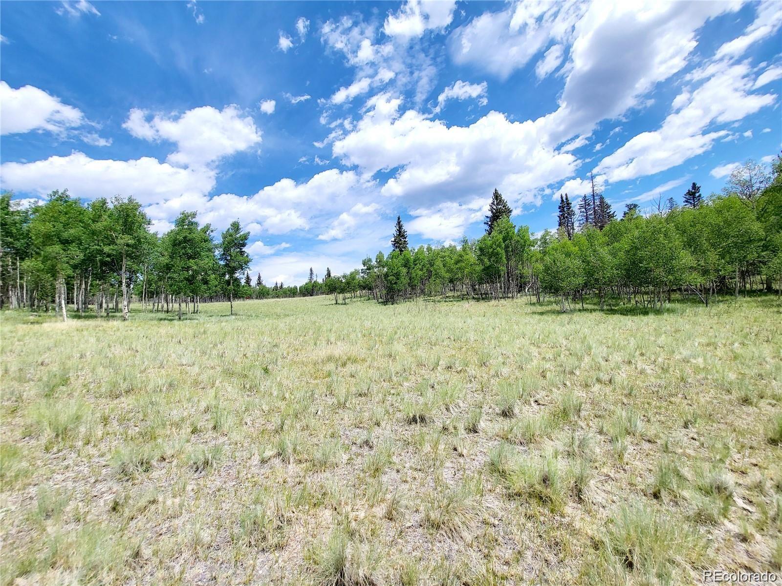 MLS Image #10 for 1530  swiggler road,como, Colorado