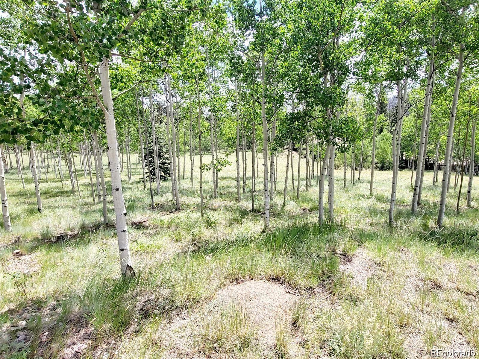 MLS Image #9 for 1530  swiggler road,como, Colorado