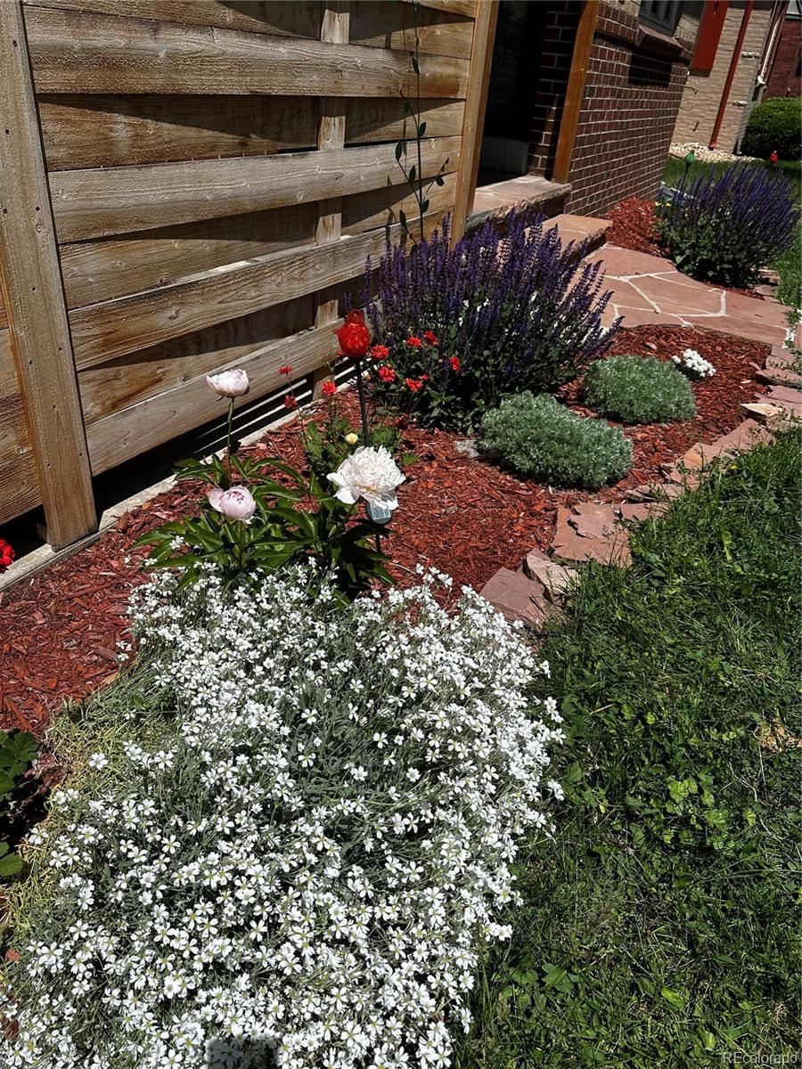 MLS Image #44 for 2855  albion street,denver, Colorado